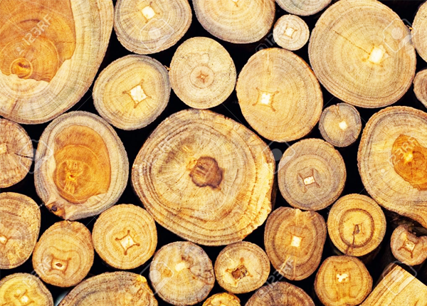 JD Wooden-Dealing-Teak